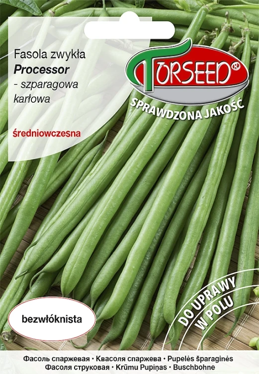 fasola-processor.webp
