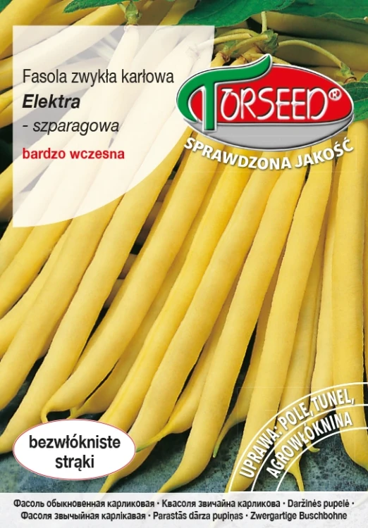 Fasola-szparagowa-Elektra.webp