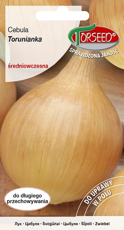 cebula-torunianka.webp