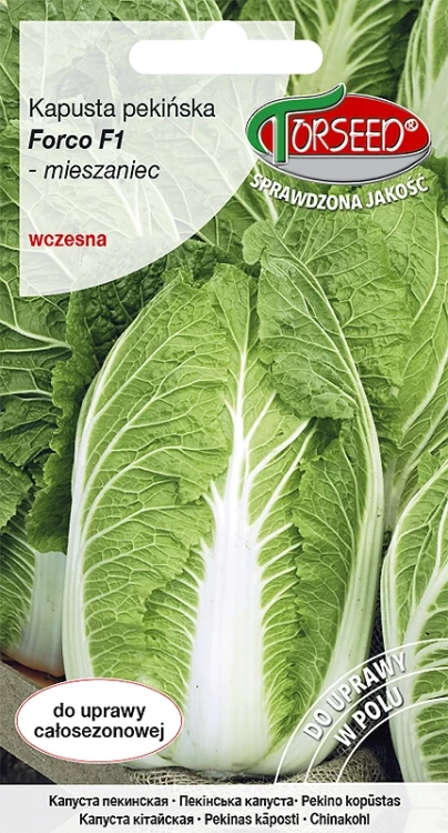 kapusta-pekinska-forco.webp