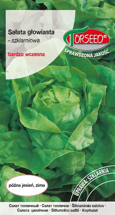 Sałata-szklarniowa-Atena.webp