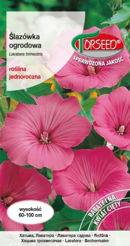 Ślazówka-różowa.webp