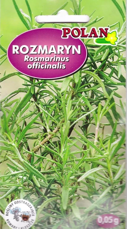 rozmaryn.webp