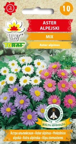 Aster-Alpejski-mix.webp