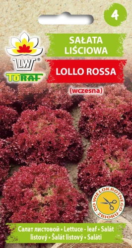 Sałata-LOLLO-ROSSA.webp