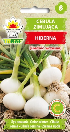 Cebula-zimowa-HIBNERA.webp