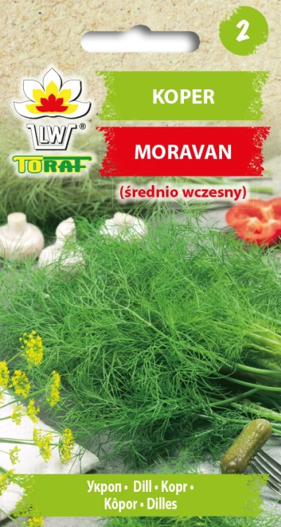 Koper-ogrodowy-MORAVAN.webp