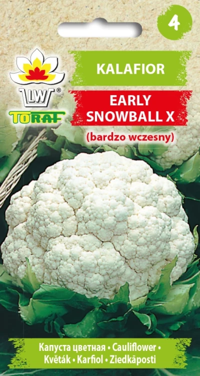Kalafior-EARLY-SNOWBALL-X.webp