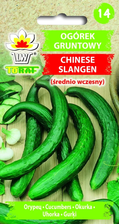 Ogórek-sałatkowy-gruntowy-CHINESE-SLANGEN.webp