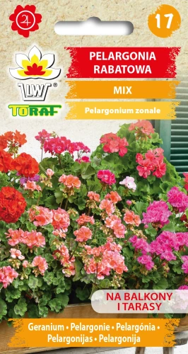 Pelargonia-RABATOWA-MIX.webp