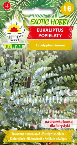 Eukaliptus-Popielaty.webp