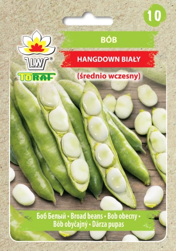 Bób-HANGDOWN.webp
