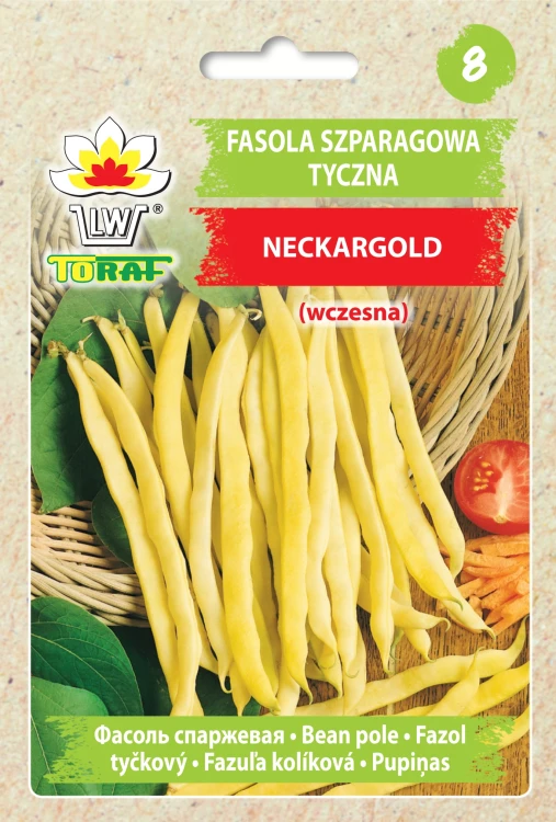 Fasola-NECKARGOLD.webp