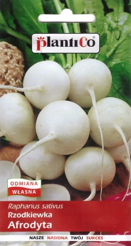rzodkiewka-afrodyta.webp