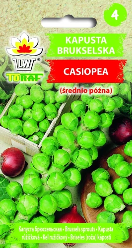Kapusta-brukselska-CASIOPEA.webp
