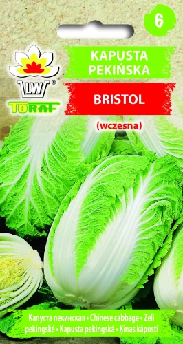 Kapusta-pekińska-BRISTOL.webp