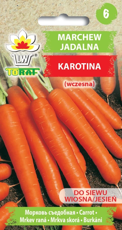 Marchew-KAROTINA.webp