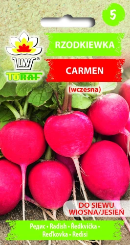 Rzodkiewka-CARMEN.webp