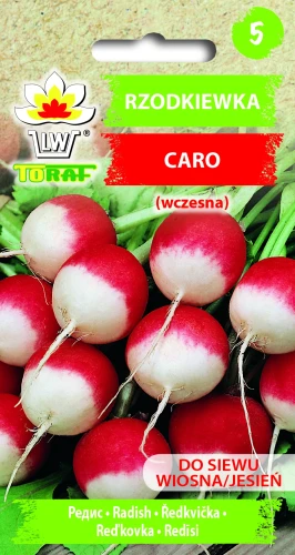 Rzodkiewka-CARO.webp