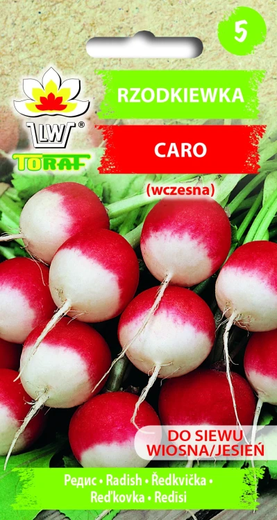 Rzodkiewka-CARO.webp