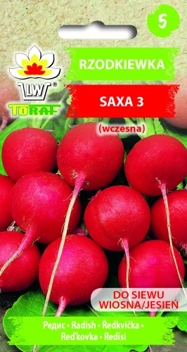 Rzodkiewka-SAXA-3.webp