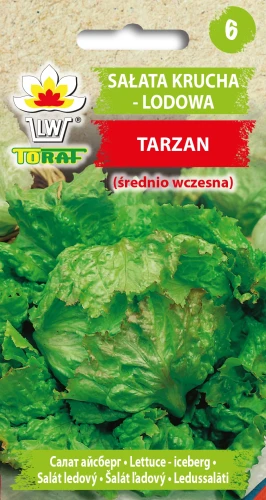 Sałata-TARZAN.webp