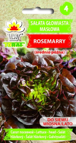 Sałata-ROSEMARRY.webp