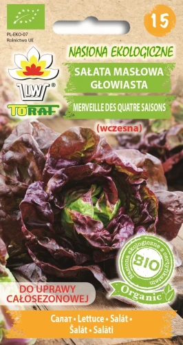 BIO-Sałata-MERVEILLE-DES-QUATRE-SAISONS.webp