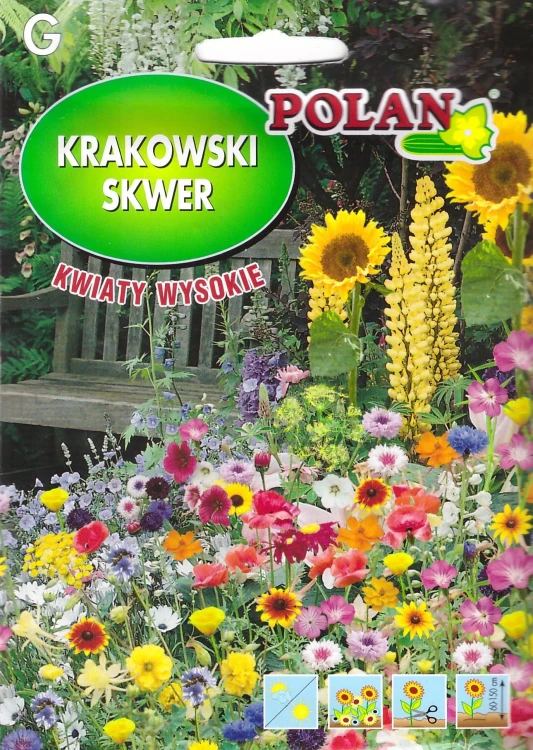 krakowski-skwer-kwiaty-wysokie.webp