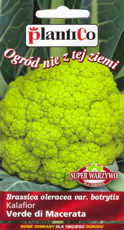 kalafior-verde-di-macerata.webp