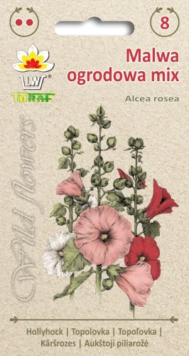 Wild-flower-Malwa-ogrodowa-mix.webp