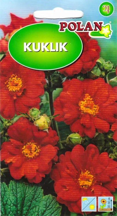 kuklik.webp