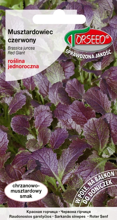 musztardowiec-czerwony.webp