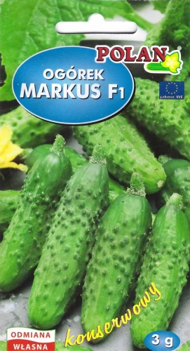 ogórek-markus.webp