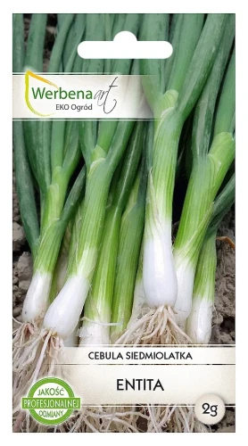 cebula-entita.webp