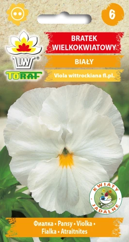 Bratek-wielkokwiatowy-BIAŁY.webp