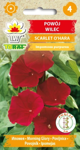 POWÓJ-WILEC-SCARLET-O_HARA.webp