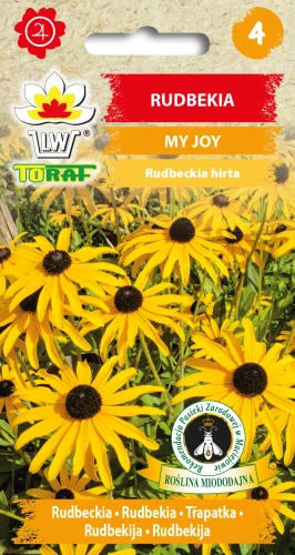 Rudbekia-MY-JOY.webp
