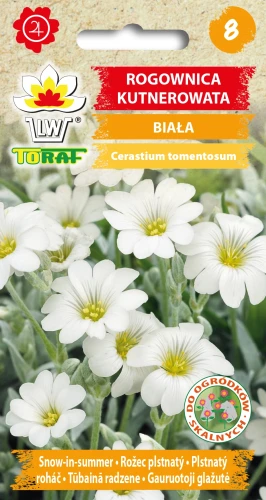 Rogownica-kutnerowata-BIAŁA.webp