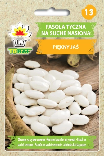 Fasola-PIEKNY-JAŚ.webp