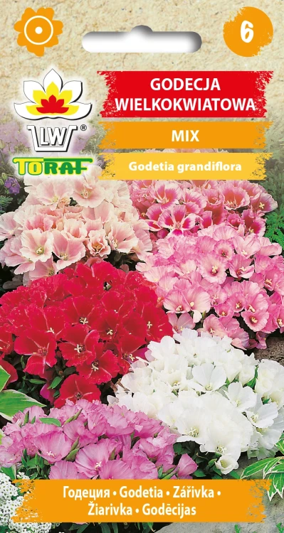 Godecja-wielkokwiatowa-MIX.webp