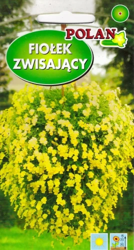 fiołek-zwisający-żółty.webp