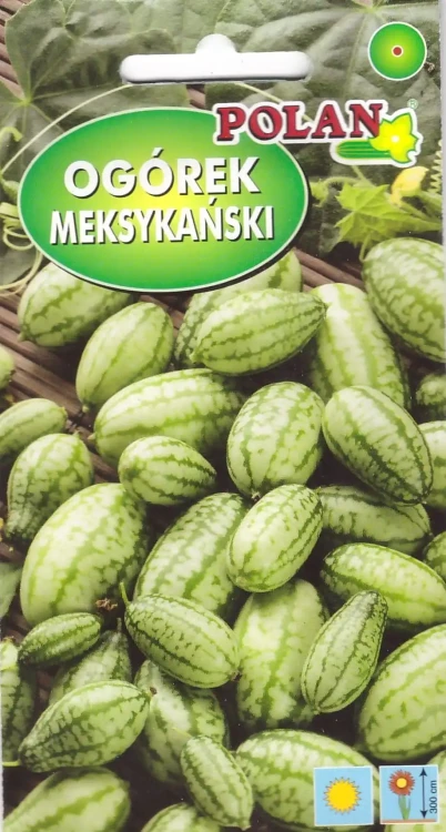 ogórek-meksykański.webp