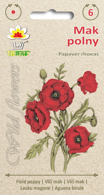 Wild-flower-Mak-polny.webp