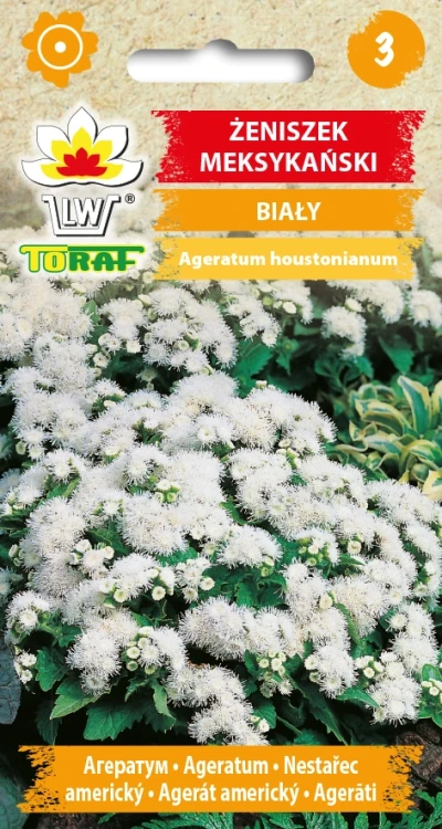 ŻENISZEK-MEKSYKAŃSKI-BIAŁY.webp