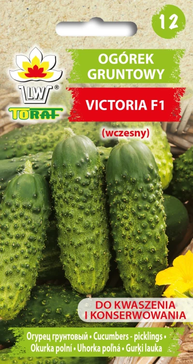 Ogórek-gruntowy-VICTORIA.webp
