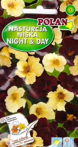nasturcja-night-and-day-pol.webp