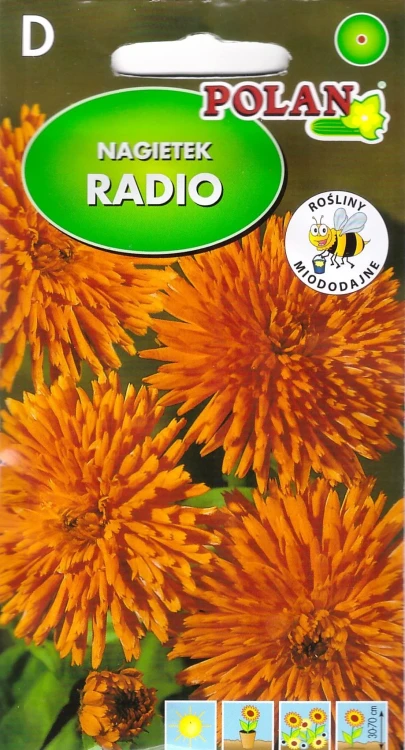 nagietek-radio.webp