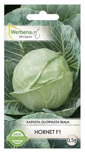 kapusta-hornet.webp