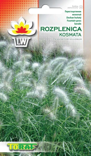 rozplenica-kosmata.webp